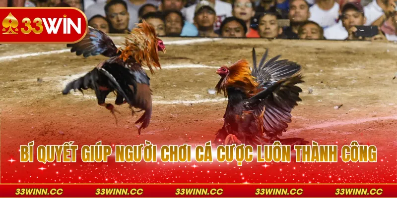 Bí quyết giúp người chơi cá cược luôn thành công