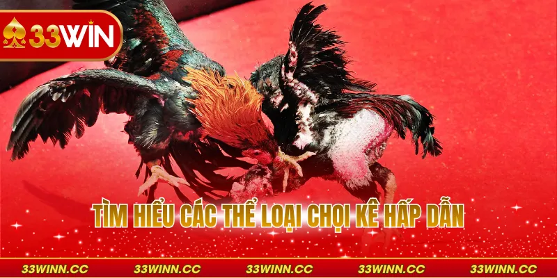 Tìm hiểu các thể loại chọi kê hấp dẫn