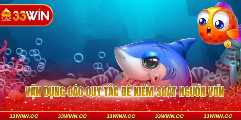 Vận dụng các quy tắc để kiểm soát nguồn vốn